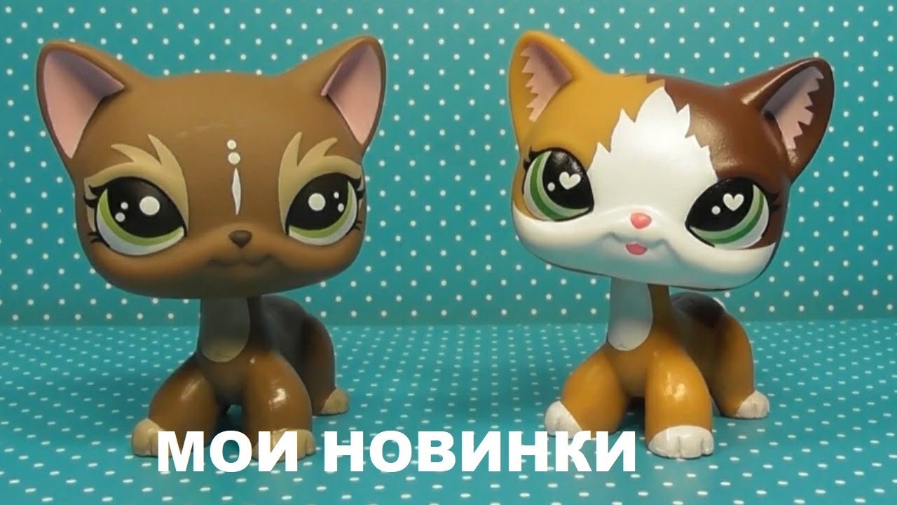 LPS: САМЫЕ НОВЫЕ СТОЯЧКИ 2019 года