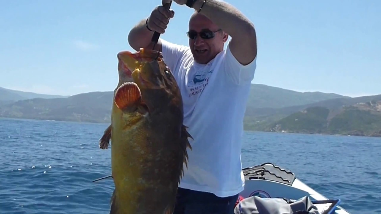 Mérou de 20 Kg pêché à Tigzirt sur mer en Algérie