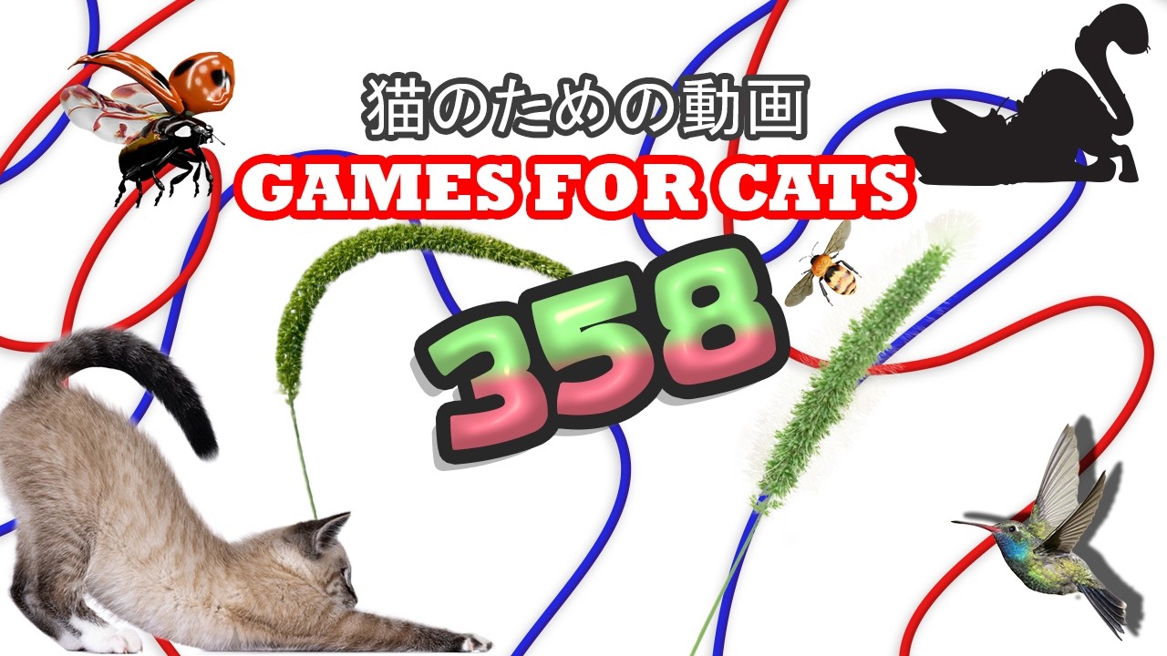 🐾 CAT GAMES 3DキャットTVスピードハント｜リアルなネズミ狩り・トカゲ追跡・小鳥ダッシュ【猫用 8時間 4K60FPS】