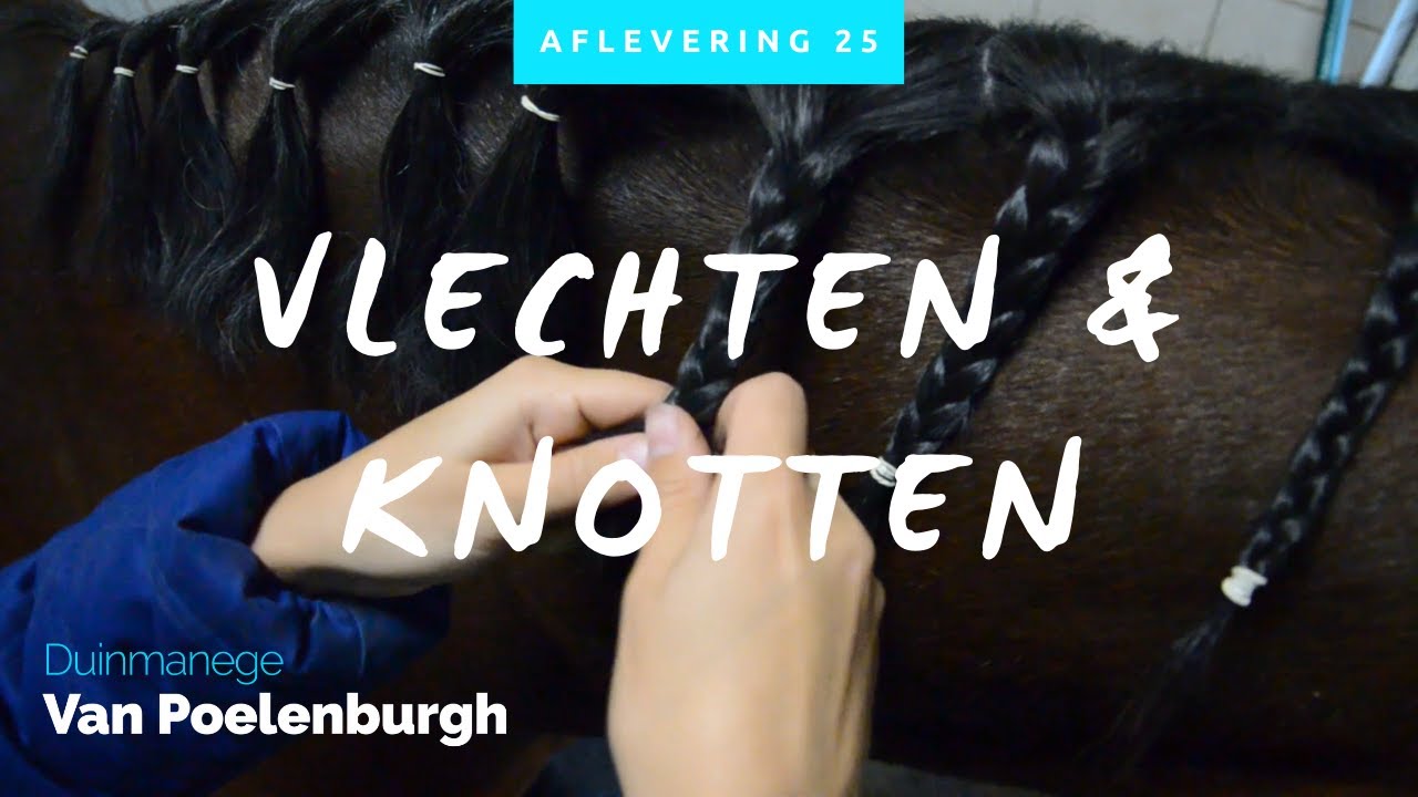 #25 Vlechten & Knotten | Wedstrijd
