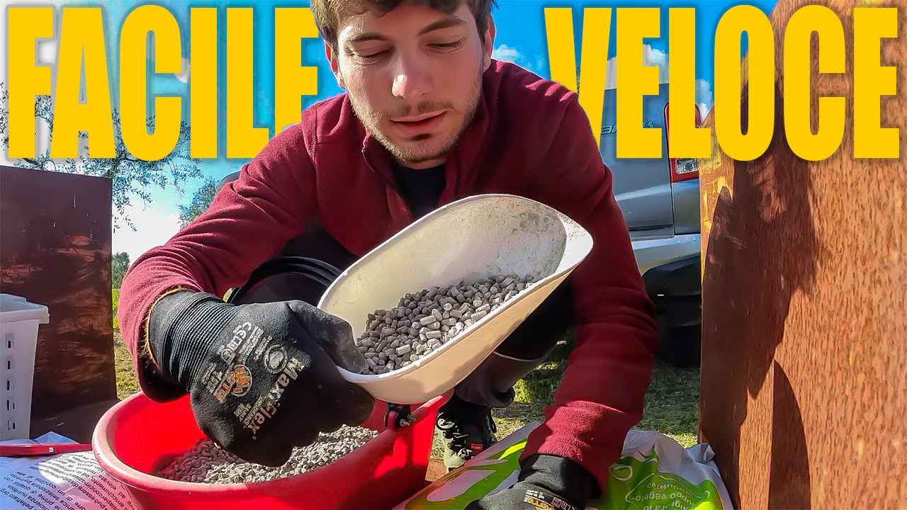 Ho CONCIMATO tutto L'OLIVETO in 25 MINUTI