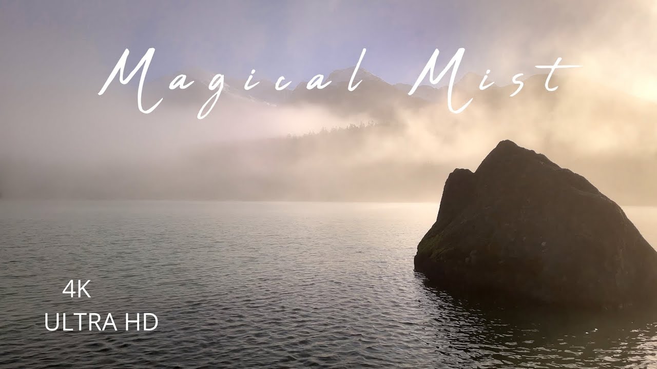 Magical Morning☀️ 4k Cinematic Video