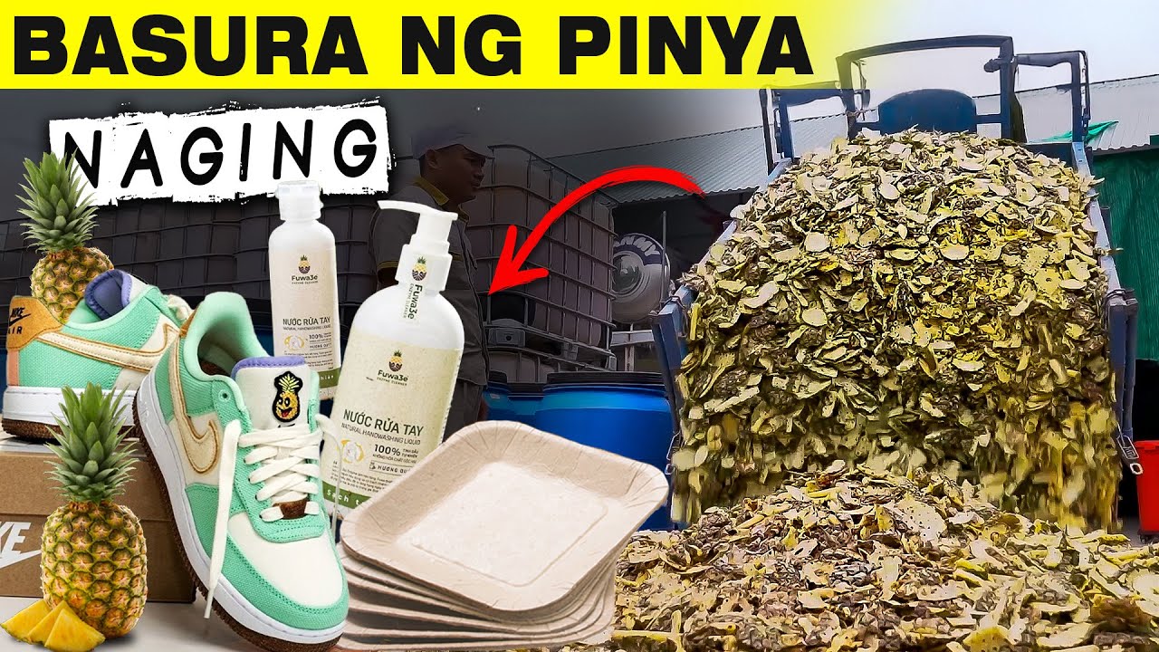 Basura ng Pinya, Napapakinabangan Pala? #awerepublic