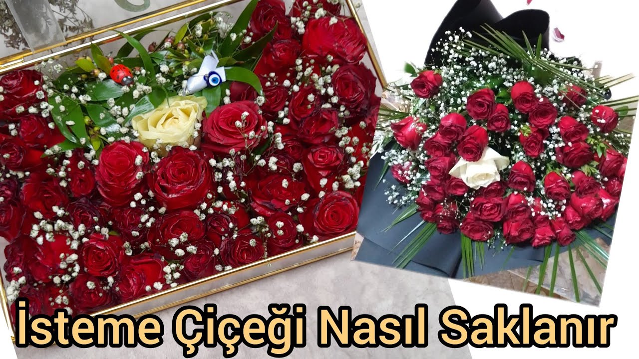 isteme çiçeği nasıl saklanır