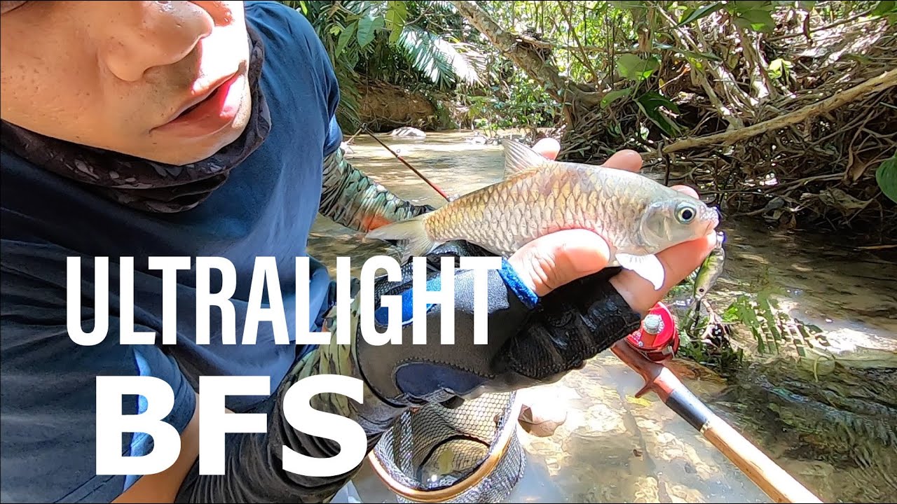 TENGAS DAUN [ULTRALIGHT BFS]: FISHMAN BEAMS SIERRA5.2UL & ABU AMBASSADEUR 1500C