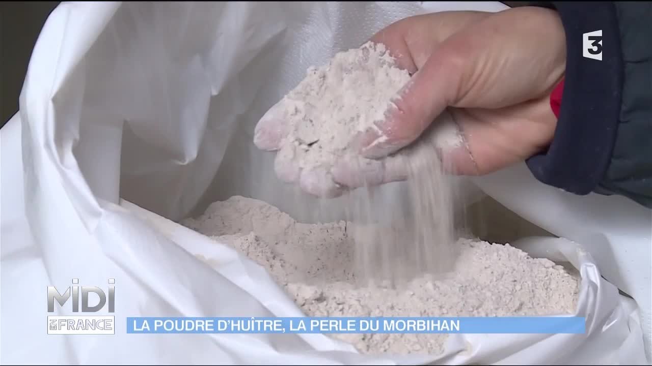 À Kervellerin, on recycle la poudre d'huitres