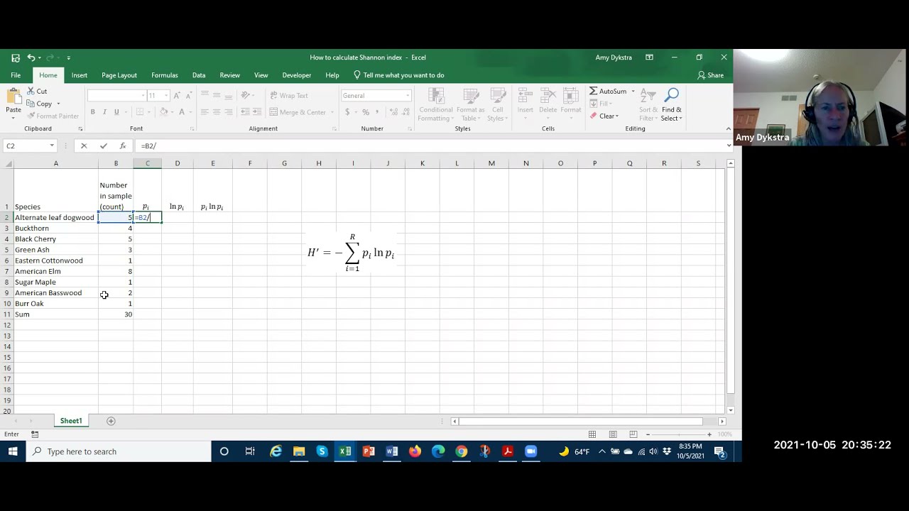 How to use Excel to calculate the Shannon index of diversity
