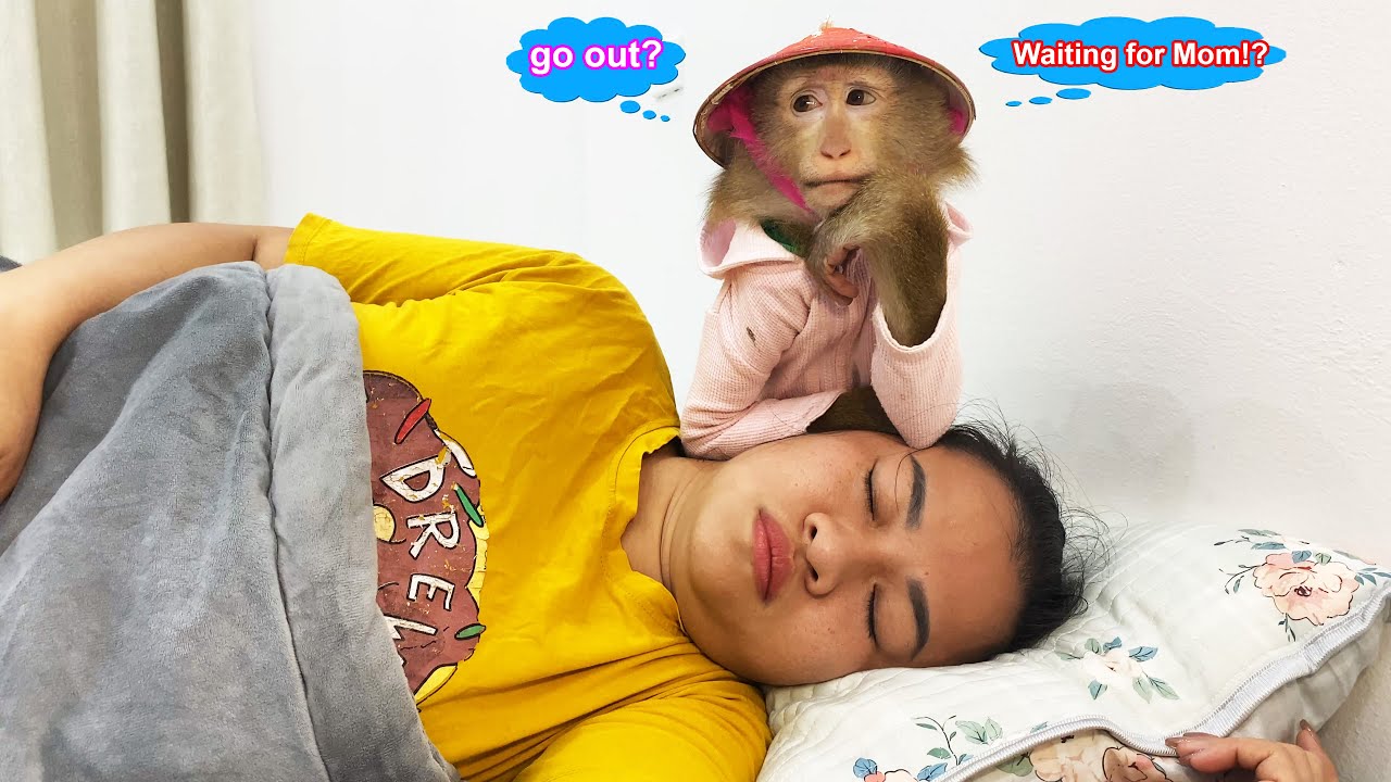 Monkey Lyly patiently waited in silence for her mother to wake up so they could go out to play.