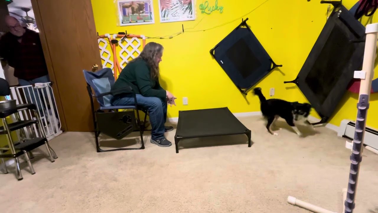 Lucky down on mat