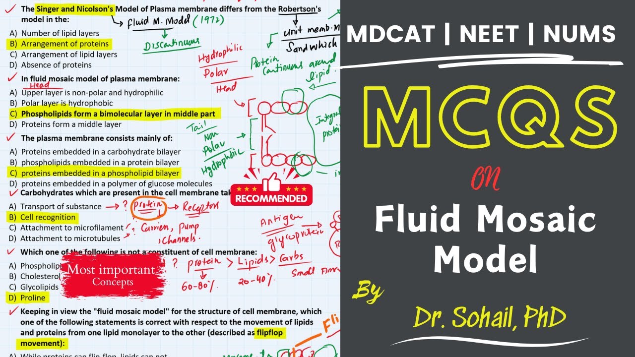 MCQS on Fluid Mosaic Model | MDCAT | NUMS | JSMU | ETEA | BUMHS