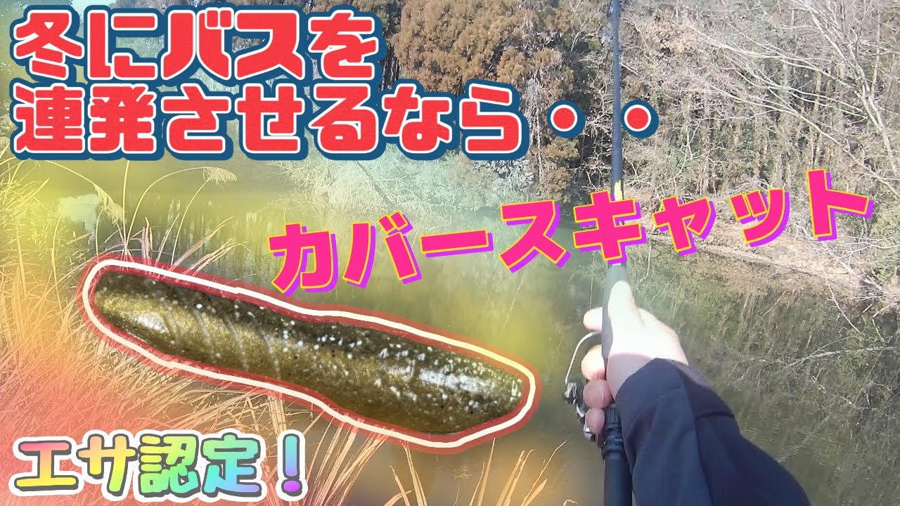 【バス釣り】冬にブラックバスを釣りたいならコレ！エサを使ったかのように釣れる！売れるわけだ・・・