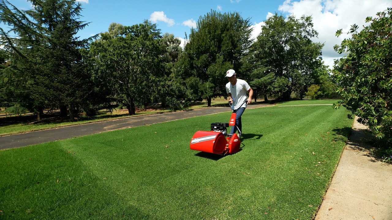 From A Scalped Lawn To This In 8 DAYS // Diamond Stripes Mow