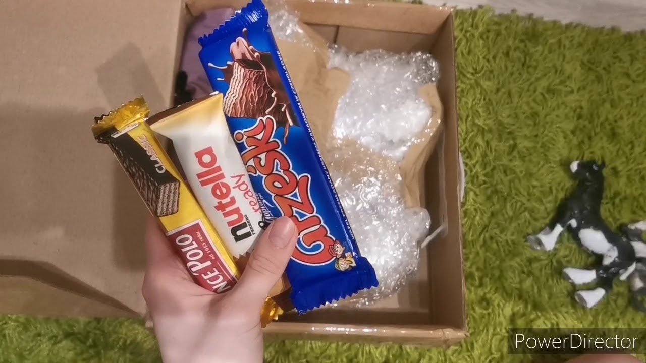Nocny unboxing breyer Trad