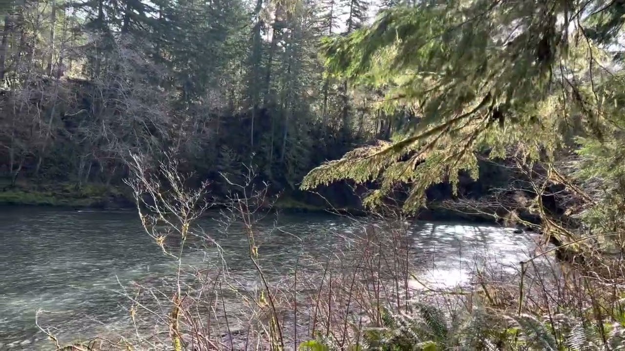 Hoh Oxbow March 2023