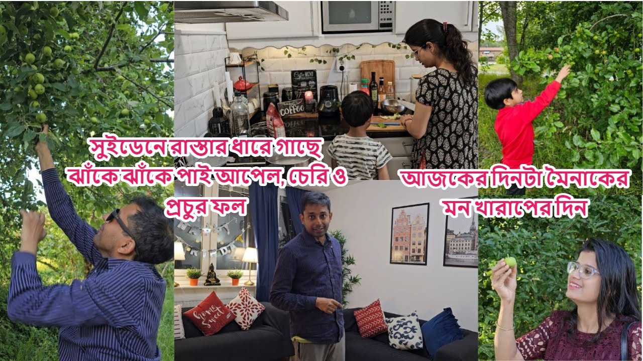 সুইডেনে লিভিং রুম সাজালাম;সেক্টর ৫ রাজারহাট আইটি সেক্টর বুদ্ধবাবুকে নিয়ে মৈনাকের স্মৃতিচারণ #sweden