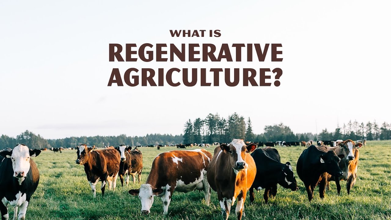 What is Regenerative Agriculture?