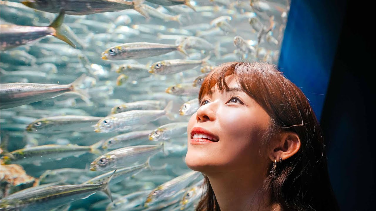 日本遊第二集,sunshine 60玩透透,有趣文字燒還有超好吃鰻魚飯！