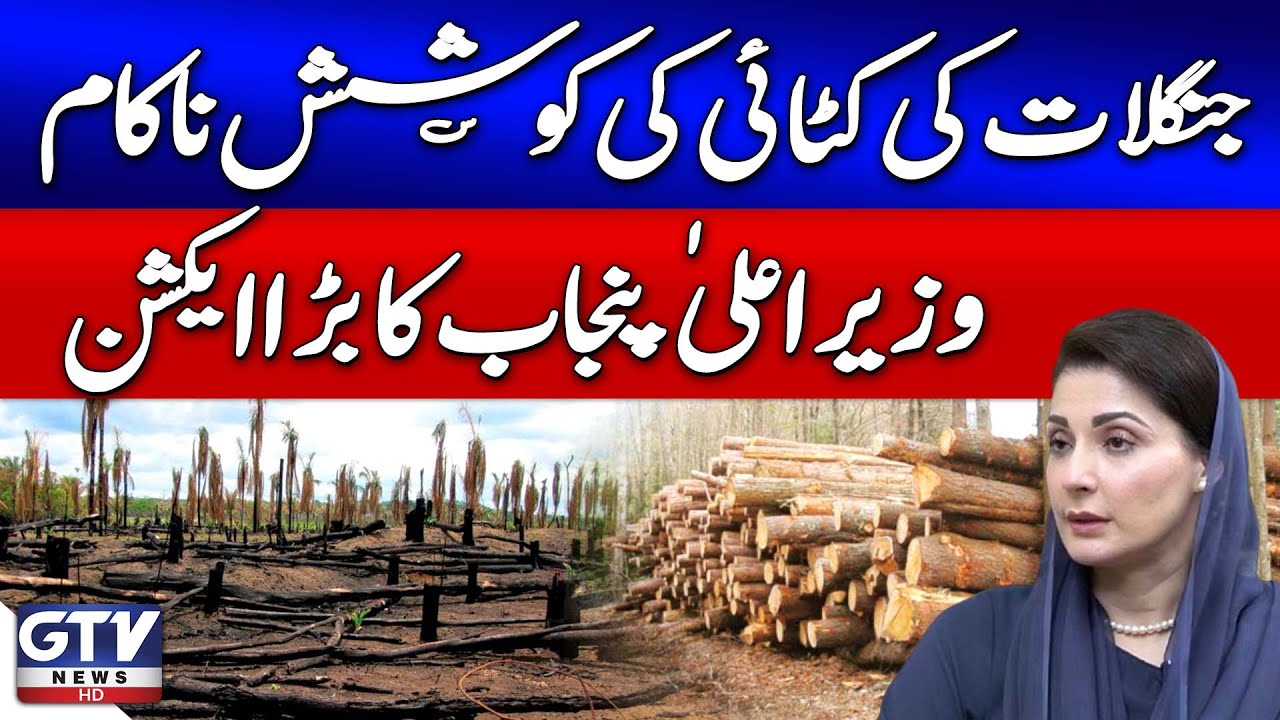 CM Punjab Maryam Nawaz Takes Big Action | Deforestation Attempt Fails | Breaking News