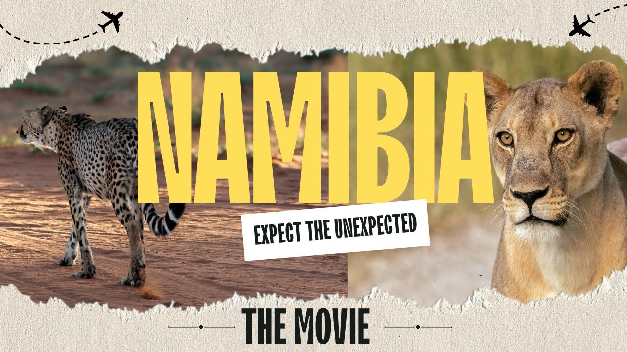 NAMIBIA 2024 | EXPECT THE UNEXPECTED | THE MOVIE