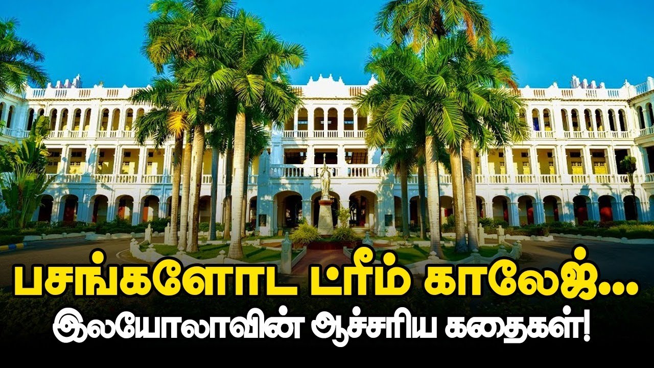 பசங்களோட ட்ரீம் காலேஜ்... லயோலாவின் இன்ட்ரஸ்டிங் கதைகள்! | Loyola College