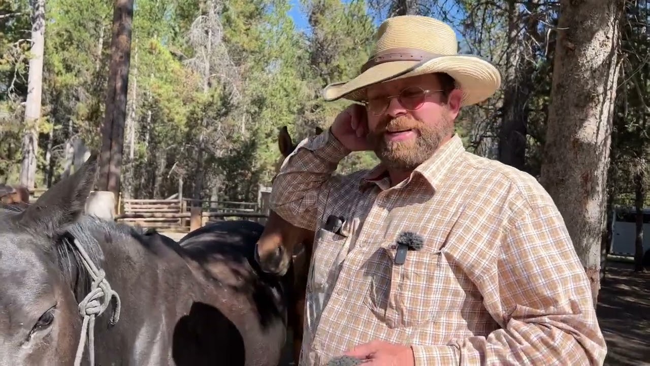 Preparing Horses for Trail Rides