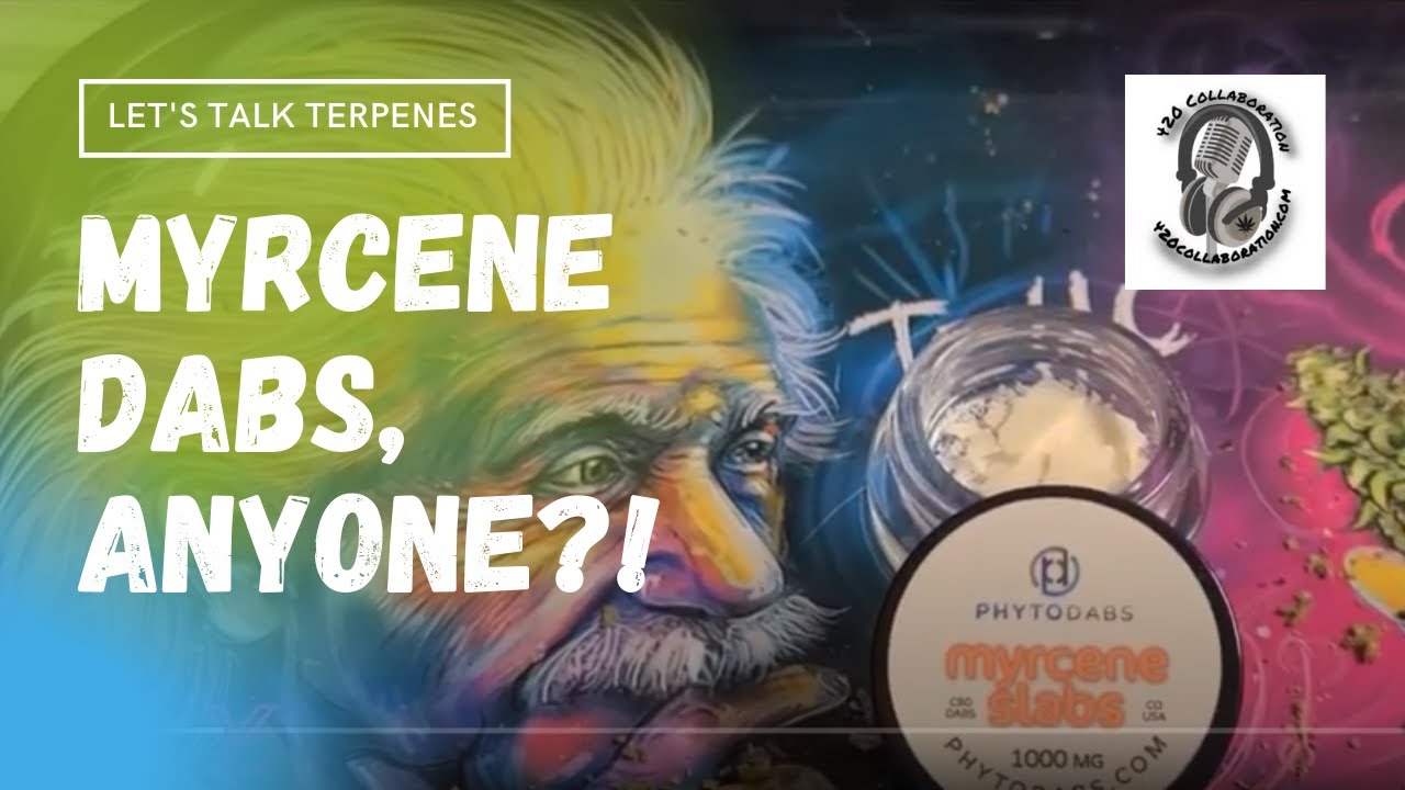 Myrcene Dabs Anyone? Review of Phytodabs' Myrcene Slabs!