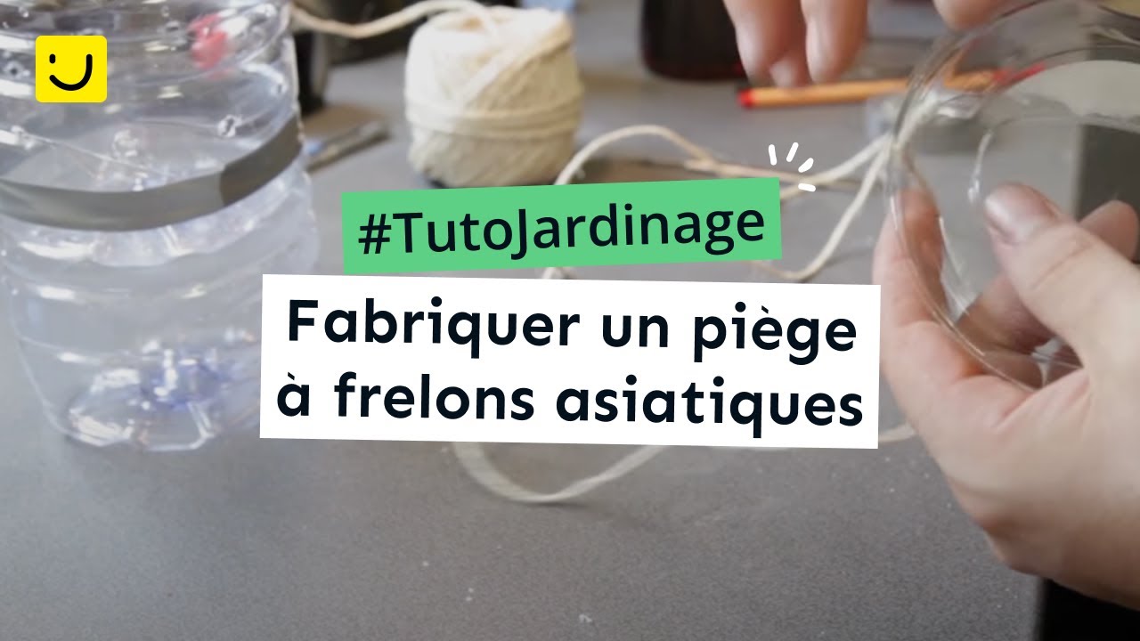 Fabriquer un piège à frelons asiatiques