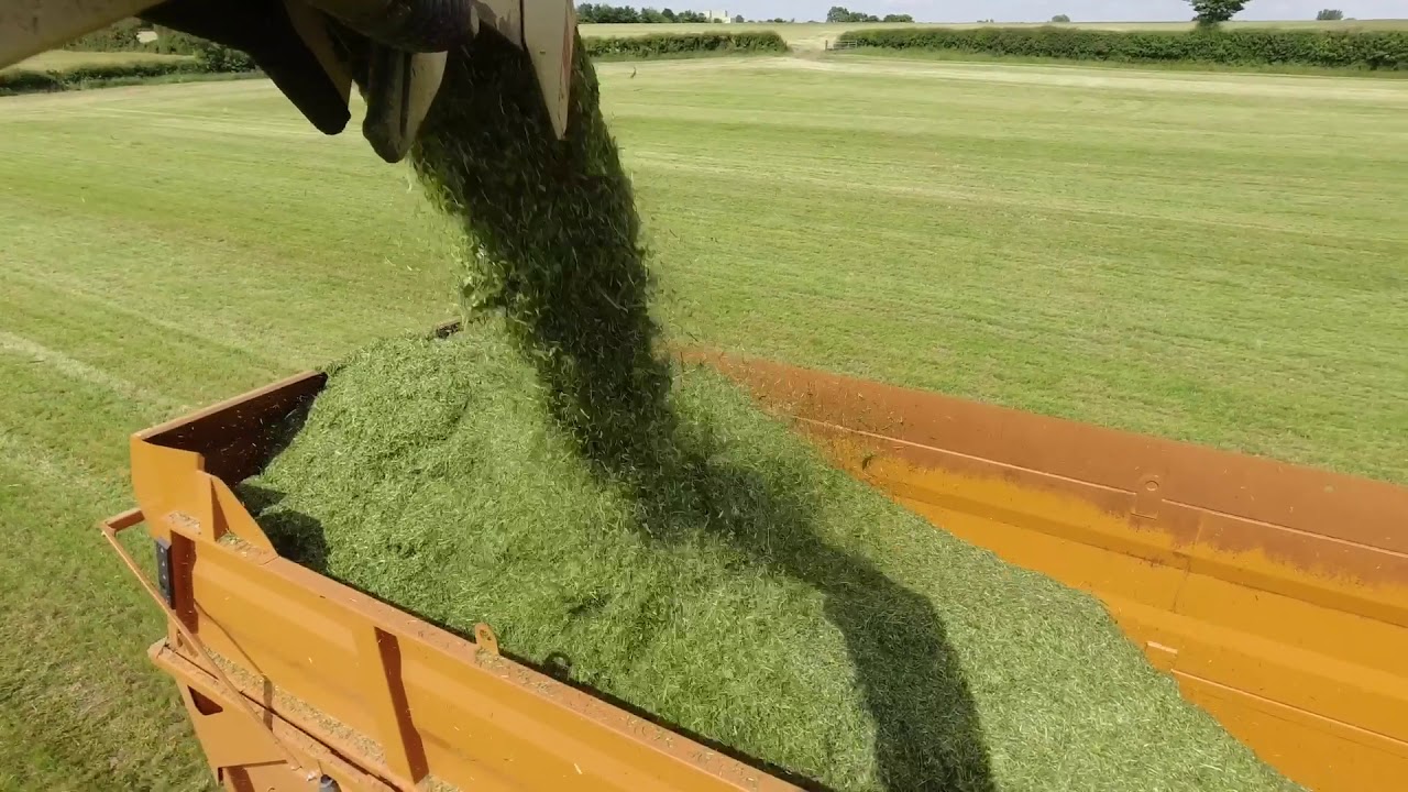 Ashton farms Ltd chop chop chopping!
