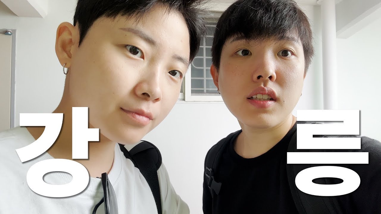 비 쫄딱 맞은 강릉여행 3편 (막국수, 카페, 순두부젤라또, 고래책방, 서리태커피)