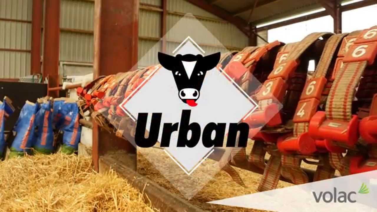Volac Urban Calf Feeders  - Feed for Growth