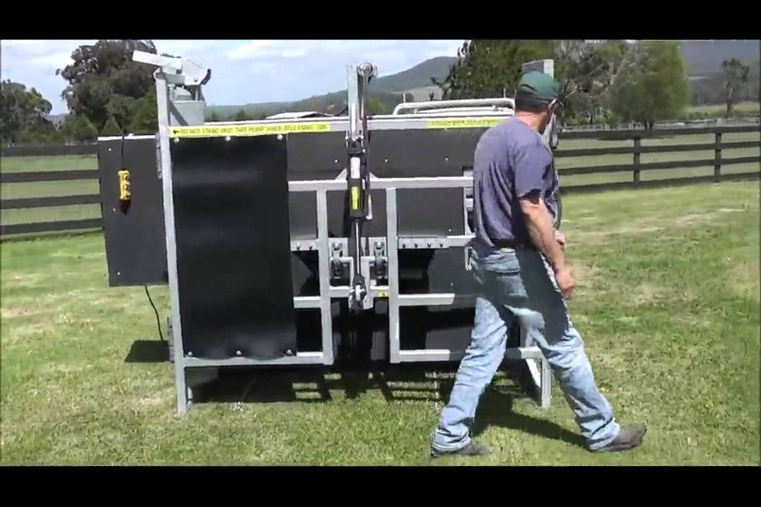 FOR SALE  Cattle Hoof Trimming Table