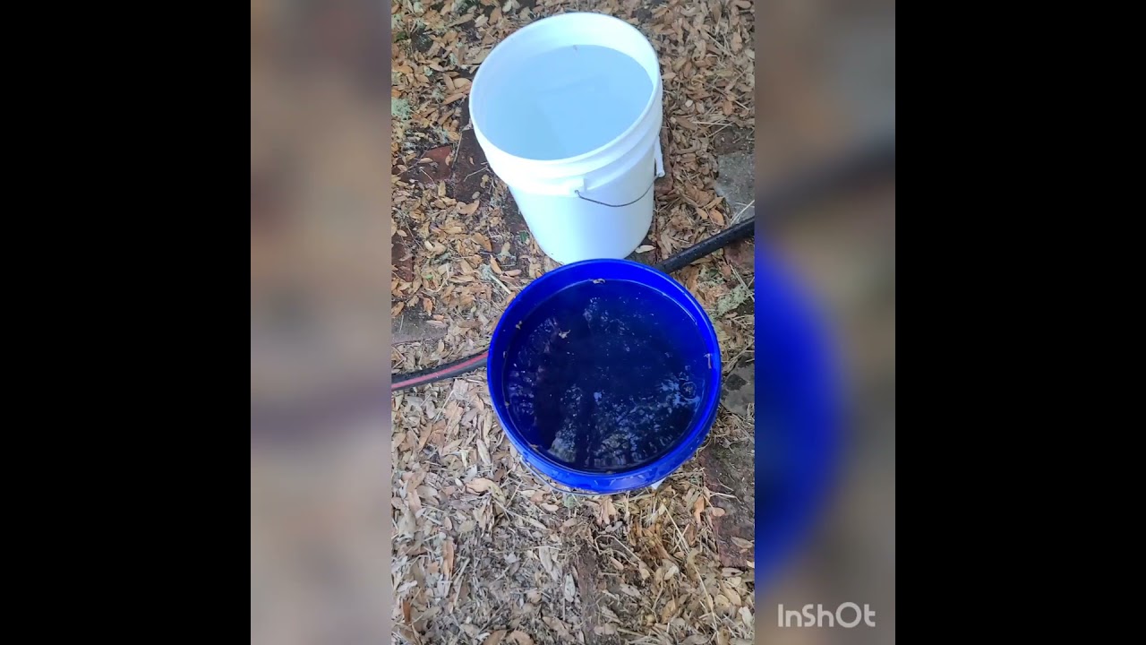 How to process and prepare Fresh Frozen Cannabis Flower for extraction