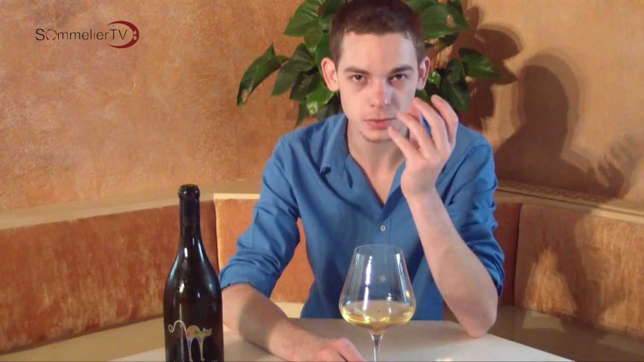 Gr&uuml;ner Veltliner 2010 Stockkultur vom Weingut Neustifter - Sommelier TV by Peter Ladinig