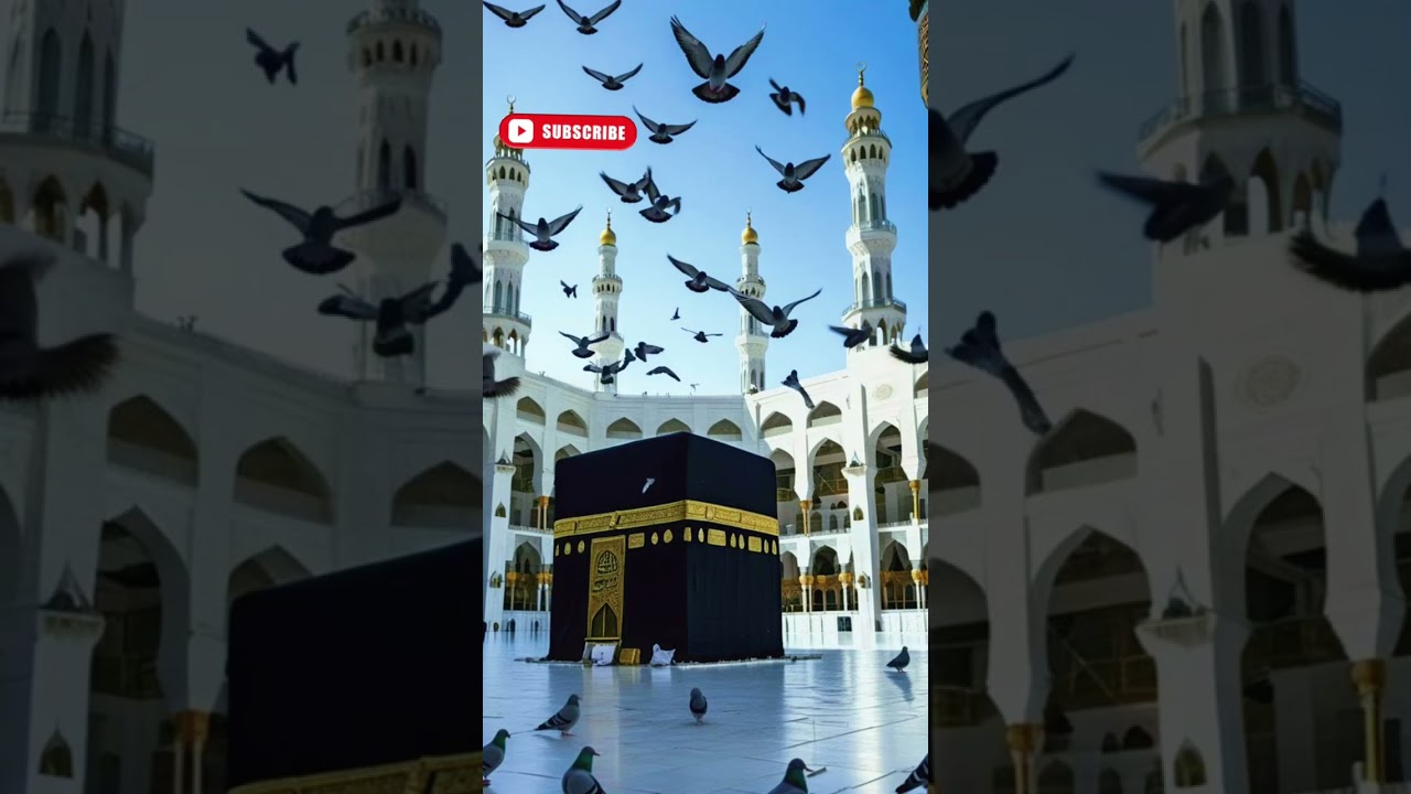 Kaliya Zulfa Wala || Kalam e Pak ||