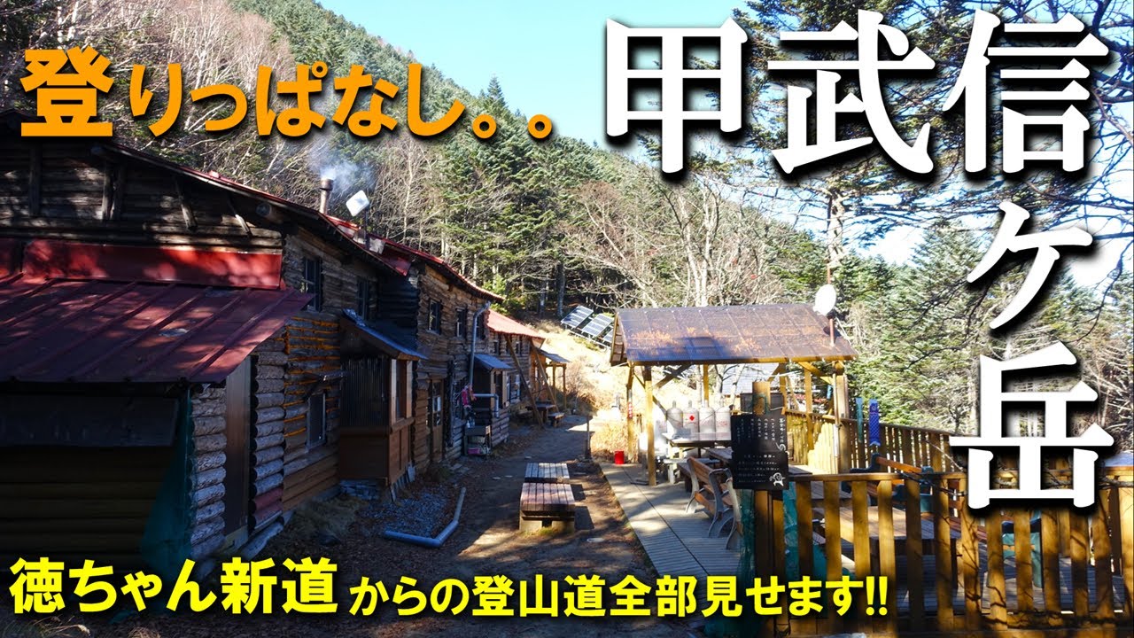 【登山体験】甲武信ヶ岳、三県境の百名山に日帰りで登ってきた！／徳ちゃん新道からの登山道全部見せます！／2023/11