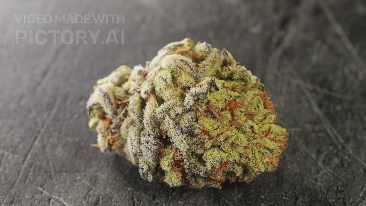 Durban Review. An In Depth Look