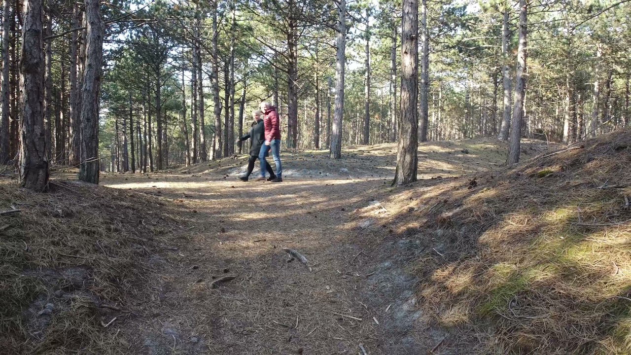 Moim okiem - Holandia - DJI MINI 2 - Schoorl - epizod 3