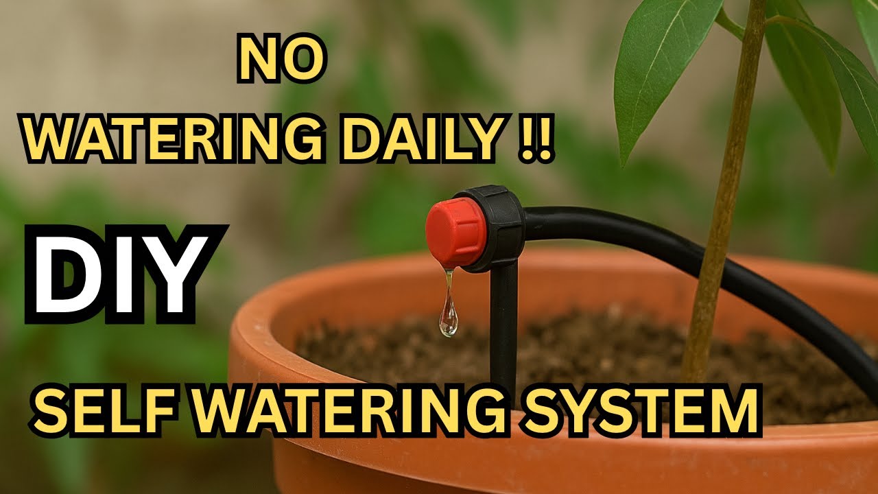 Smart Gardening: Make Your Own Drip Irrigation System | Save Time & Water @SitamDwibedi 
