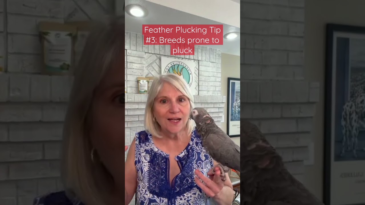 Bird Plucking: Which Species Are Most Likely To Do It?