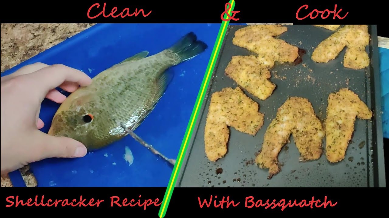 Shell cracker clean and cook