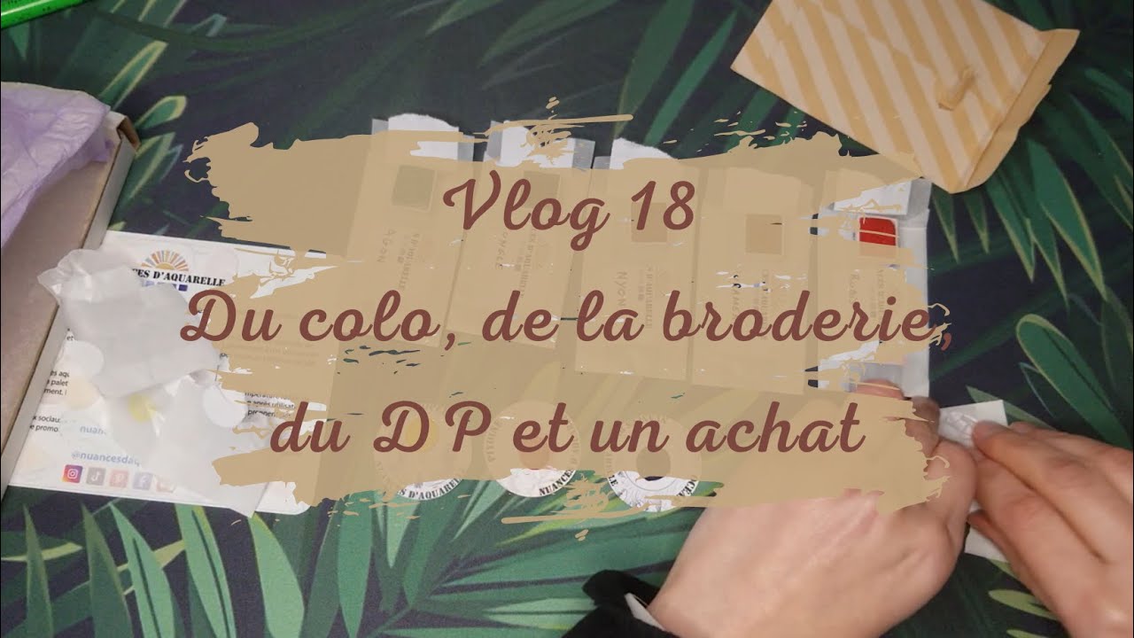 Vlog n°18 - Du colo, de la broderie, du DP et un achat