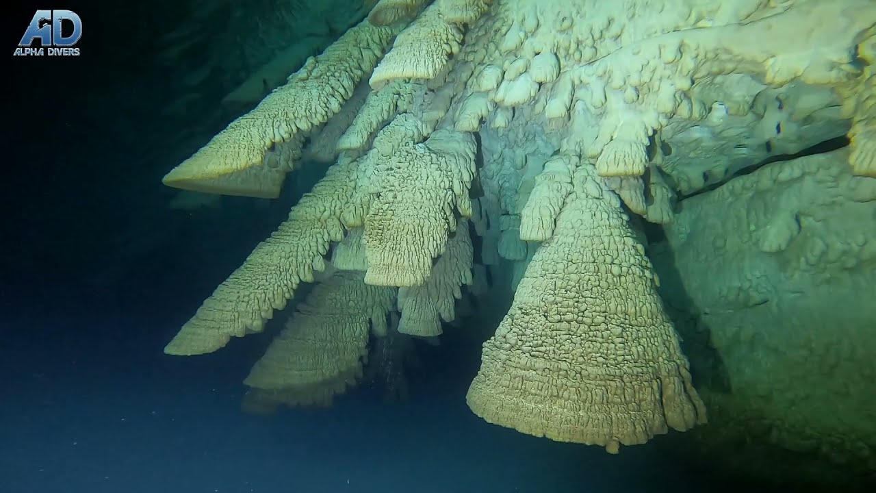 Nurkowanie Cenote Zapote - Hell Bells 2021