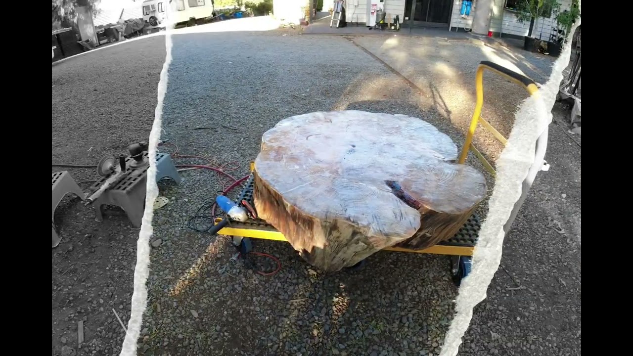 180kg pine stump table