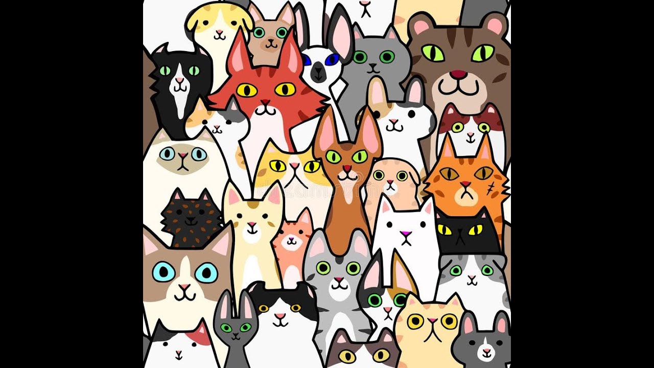 Cat-tastrophe