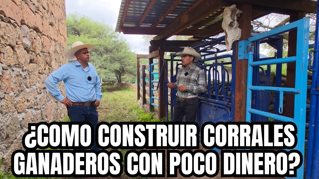 ¿Cómo CONSTRUIR CORRALES GANADEROS con POCO DINERO? | BARATOS y FUNCIONALES |  RancheandoAndo