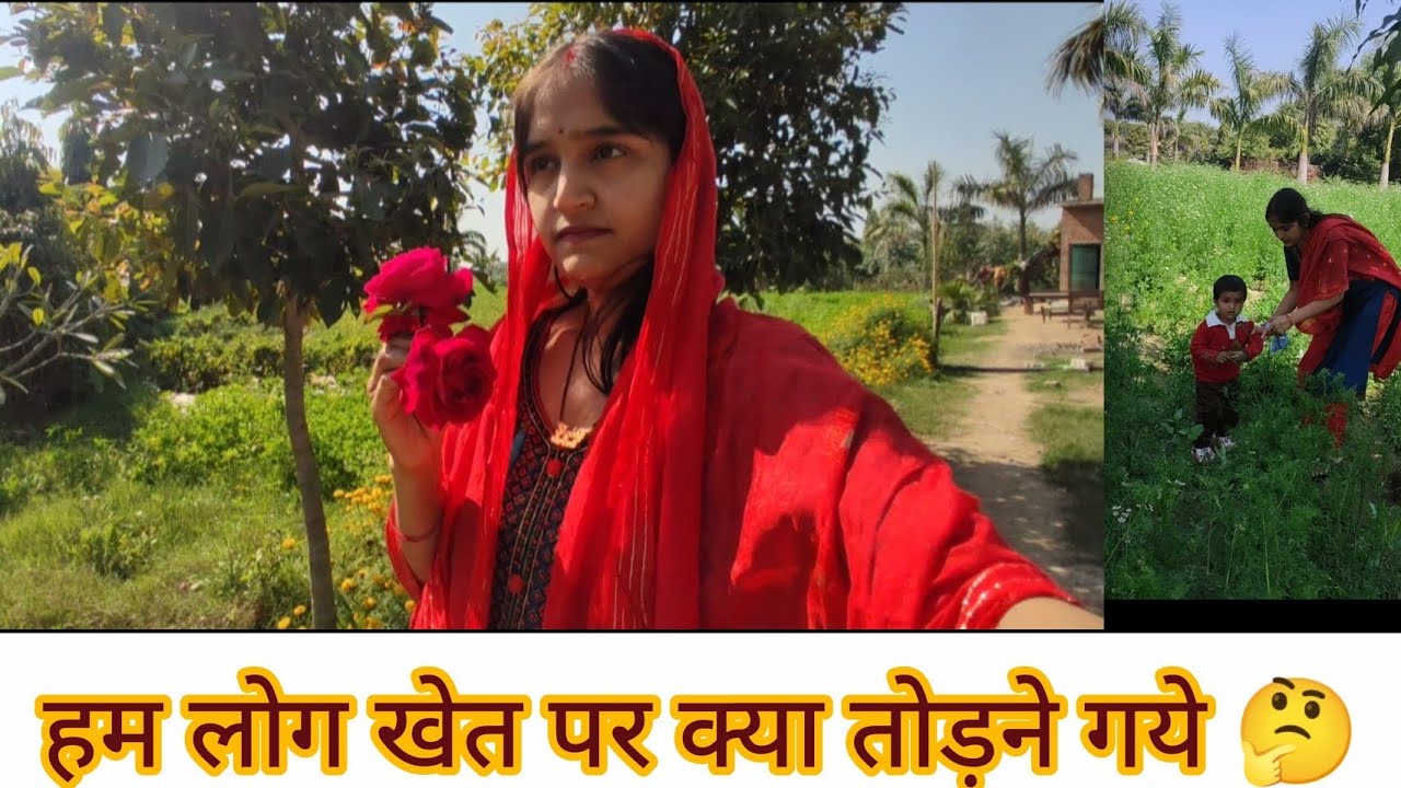 हम लोग खेत पर क्या तोड़ने गये थे 🤔....!!@AmitShobhaVlogs 