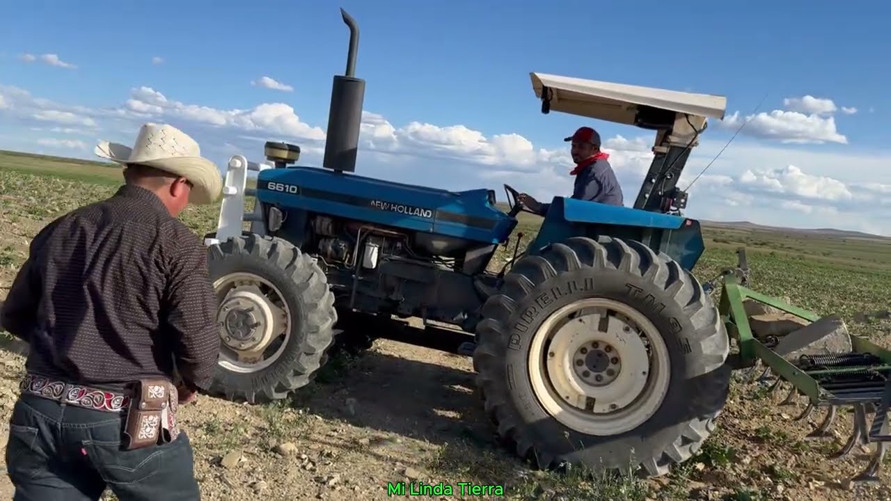 EN UNOS AÑOS A UNOS NOS VA BIEN Y A OTROS MAL PERO AUN ASI SEGUIMOS TRABAJANDO EN  EL CAMPO