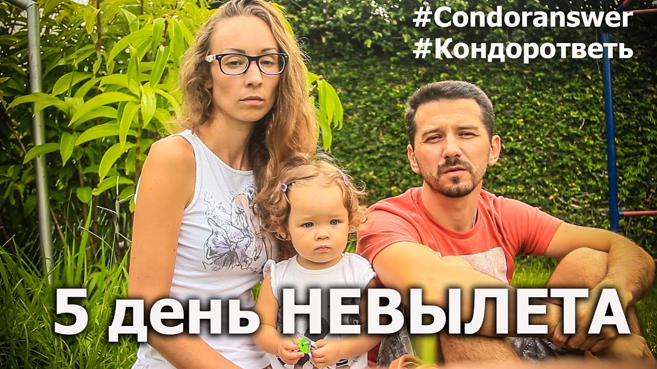 Condor, ответь! Часть 2