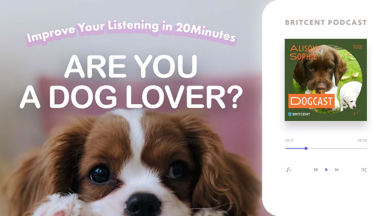 Improve Your Listening! | Learn Conversational English With Britcent 'Dogcast'
