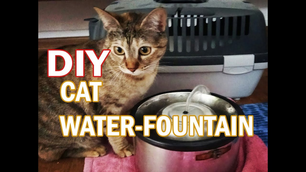 DIY Water-Fountain for Cats